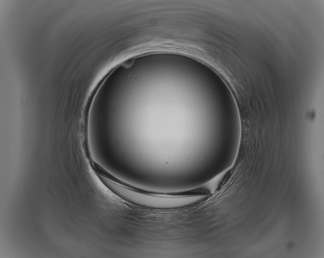 X0000095941531200801181349