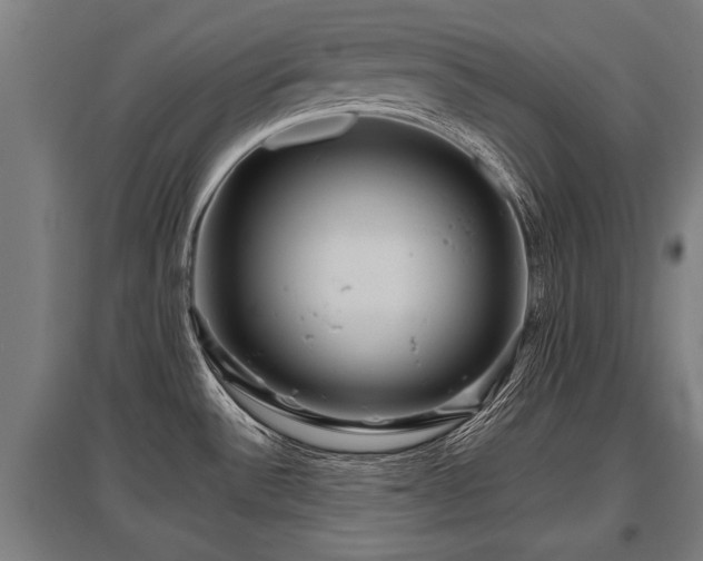 X0000095941532200801181349