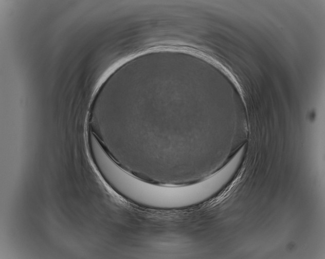 X0000095941533200801181349