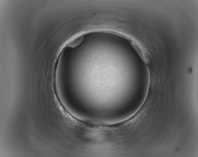 X0000095941534200801181349