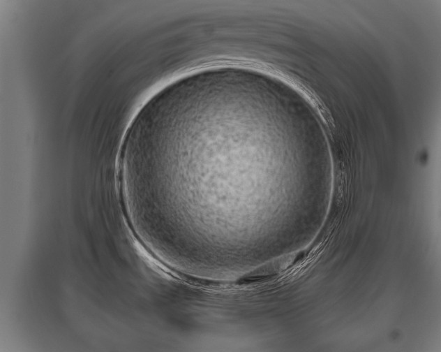 X0000095941535200801181350