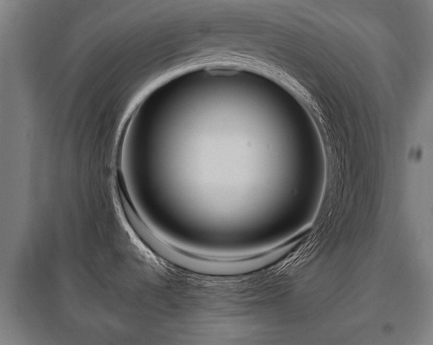 X0000095941536200801181350