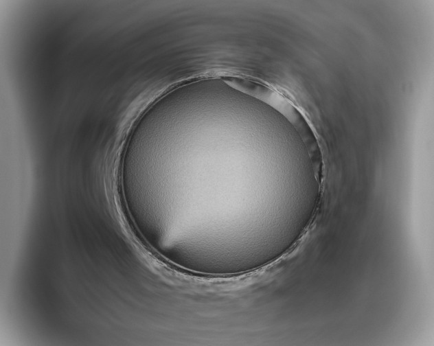 X0000095940001200801251119