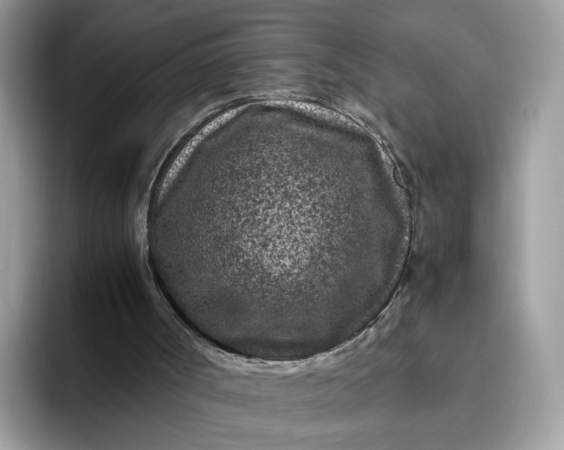 X0000095940002200801251119