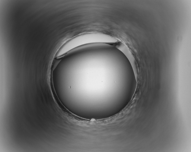 X0000095940003200801251119