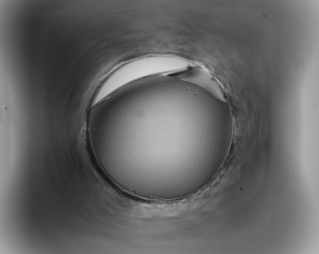 X0000095940005200801251119