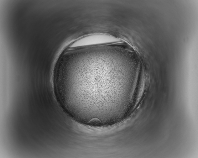 X0000095940006200801251119