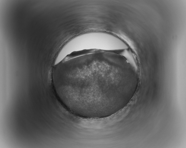 X0000095940009200801251119