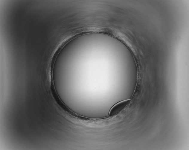 X0000095940011200801251119