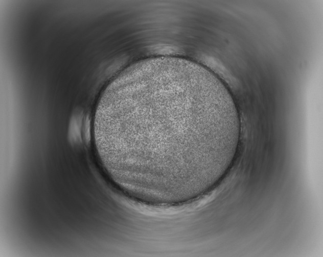 X0000095940014200801251119