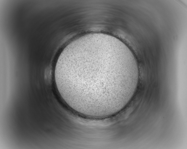 X0000095940016200801251119