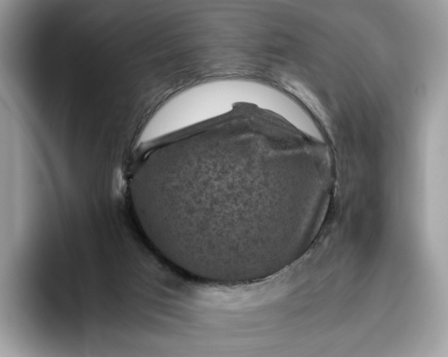 X0000095940017200801251119