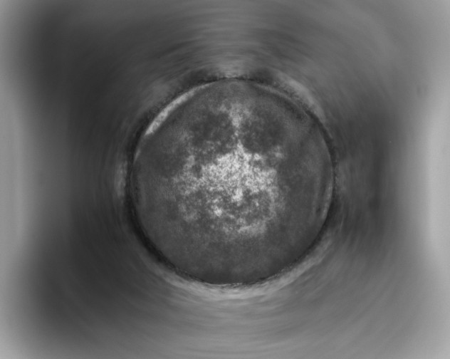 X0000095940018200801251119