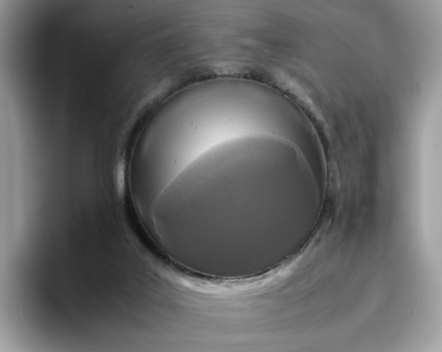 X0000095940019200801251119