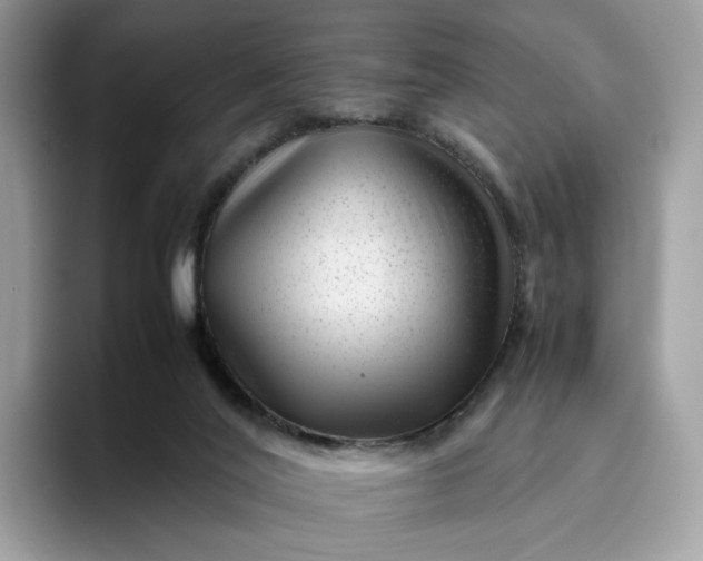 X0000095940020200801251119