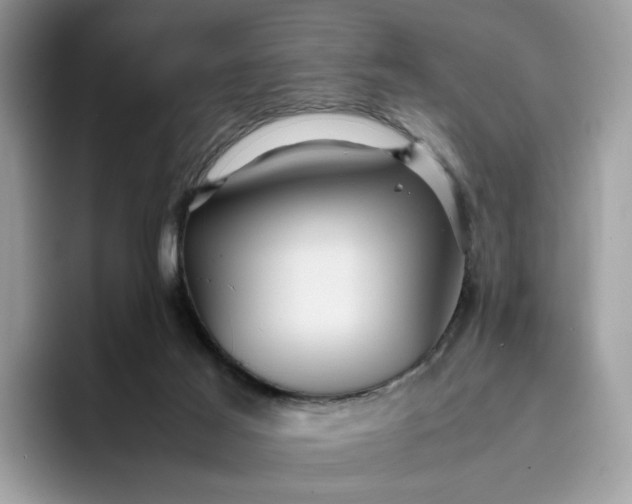 X0000095940021200801251119