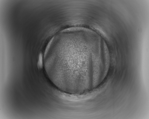 X0000095940022200801251119