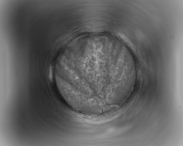 X0000095940026200801251119