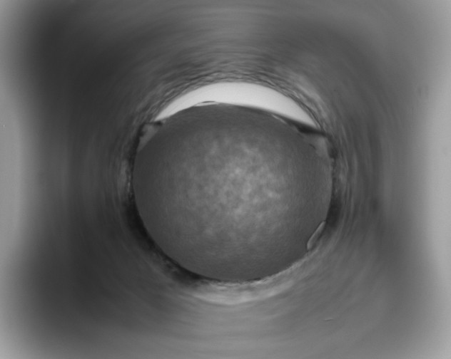 X0000095940029200801251119