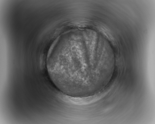 X0000095940030200801251119