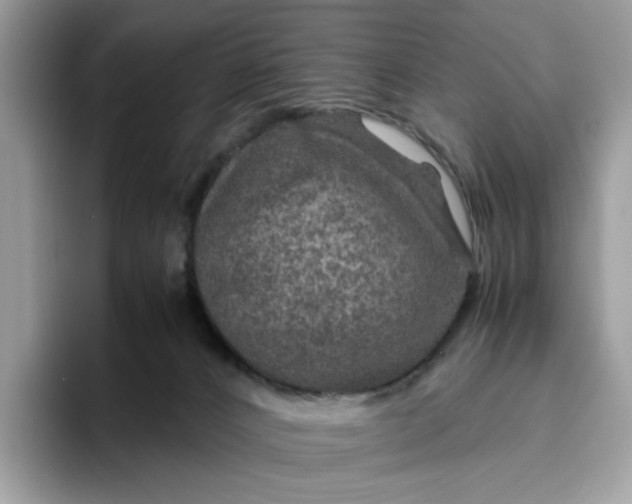 X0000095940032200801251119