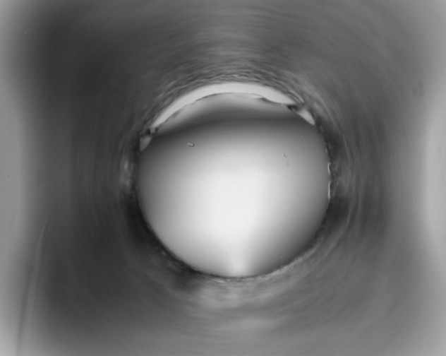 X0000095940033200801251119