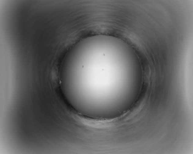 X0000095940040200801251119