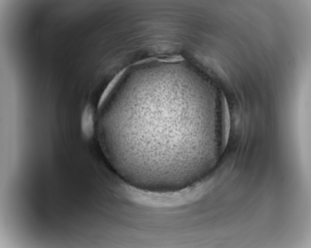 X0000095940042200801251119