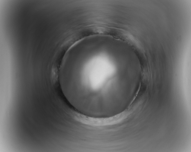 X0000095940043200801251119