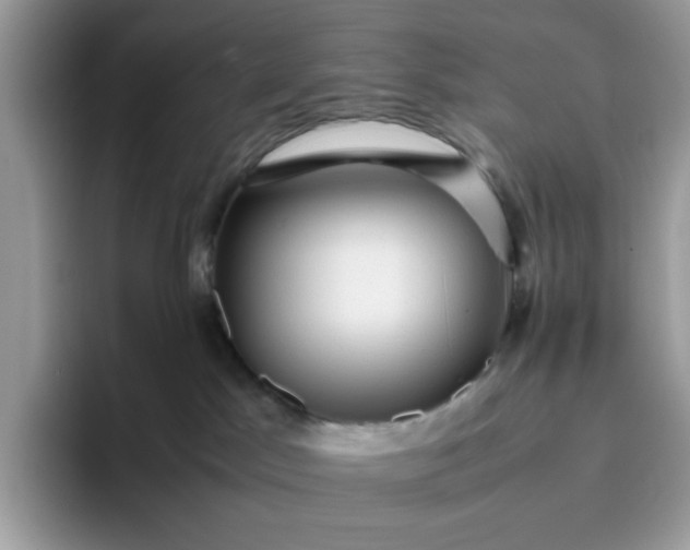 X0000095940045200801251119