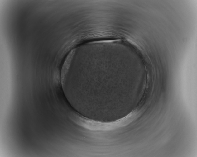 X0000095940048200801251119