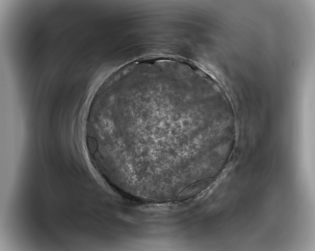 X0000095940049200801251118