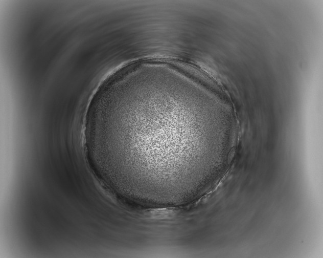 X0000095940050200801251118