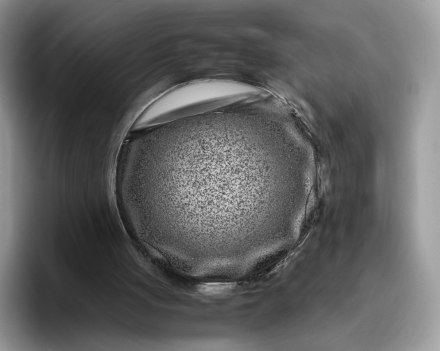 X0000095940051200801251118