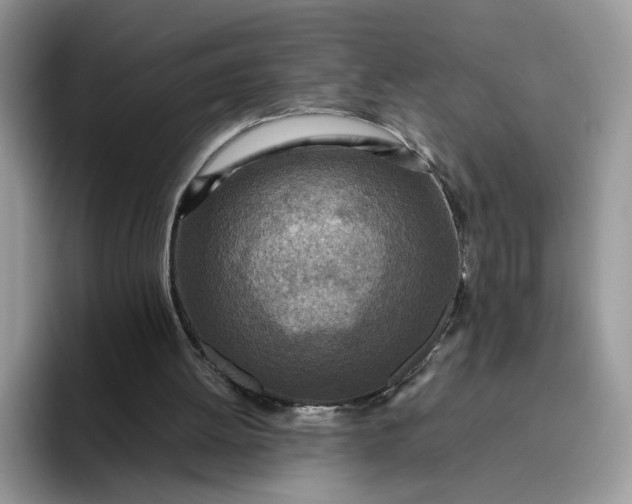 X0000095940052200801251118