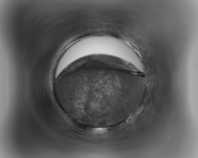 X0000095940053200801251118