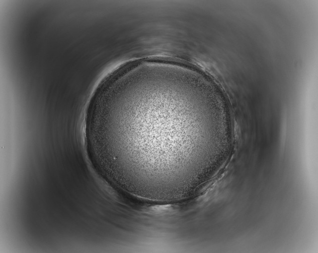 X0000095940054200801251118