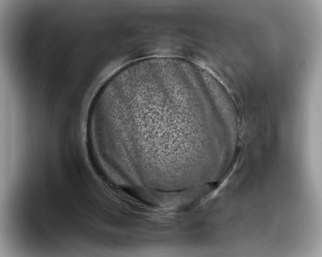 X0000095940055200801251118