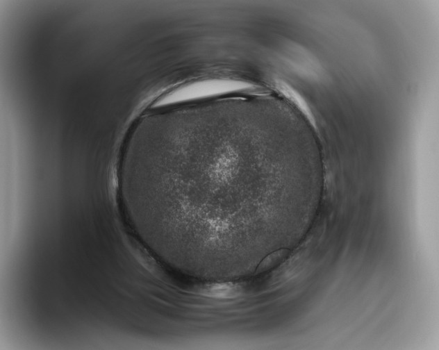 X0000095940059200801251118