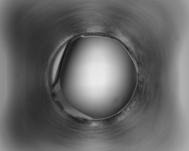 X0000095940060200801251118