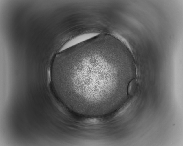 X0000095940061200801251118