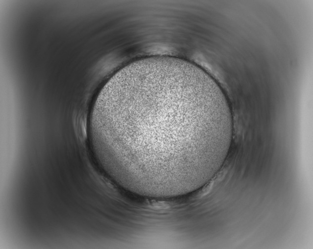 X0000095940062200801251118