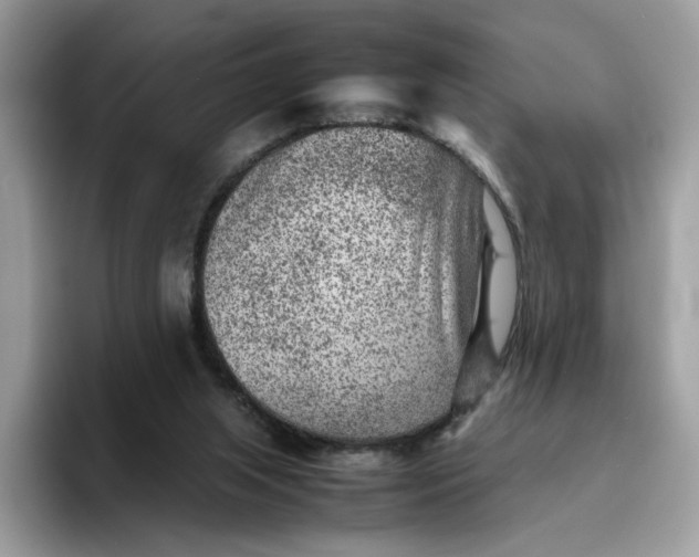 X0000095940063200801251118