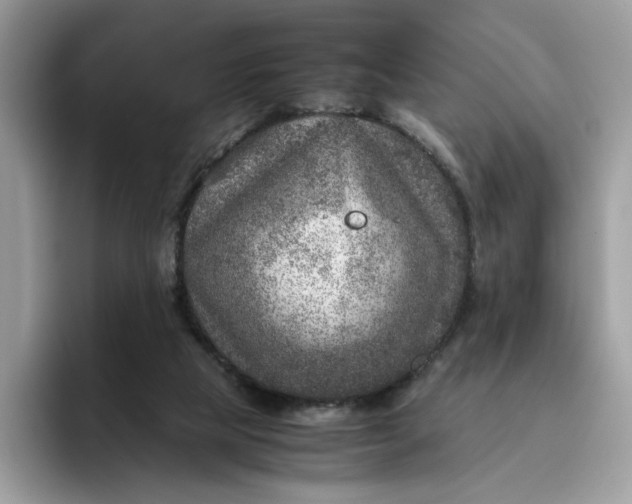 X0000095940065200801251118