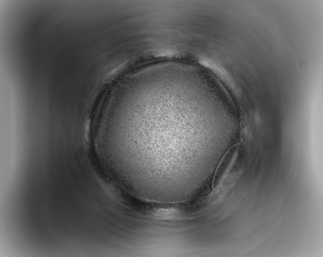 X0000095940066200801251118