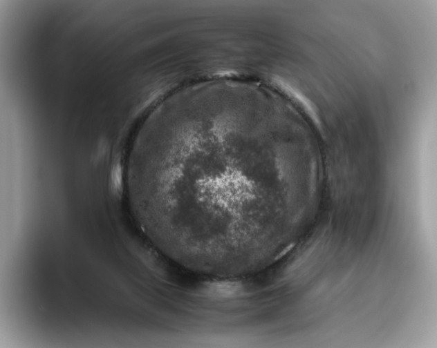 X0000095940067200801251118