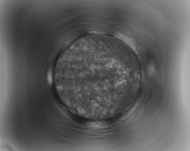 X0000095940069200801251118