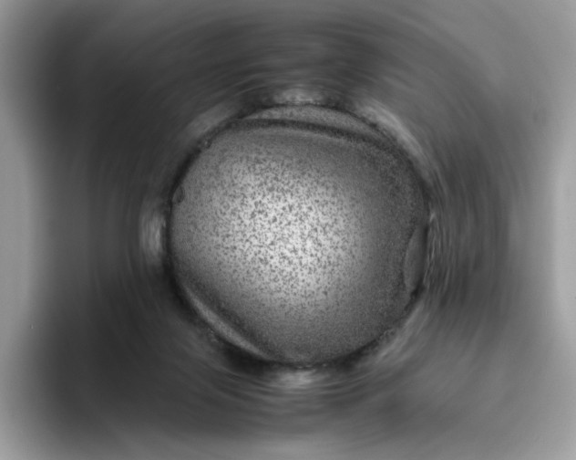 X0000095940071200801251118