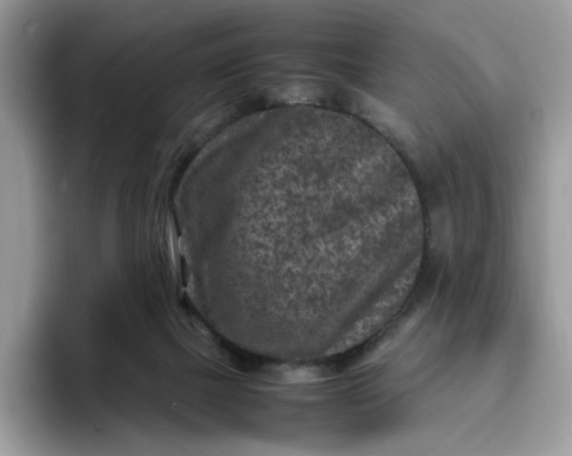 X0000095940073200801251118