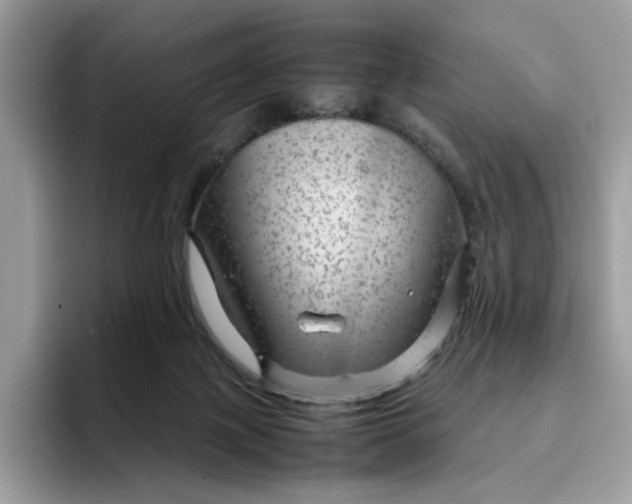 X0000095940075200801251118